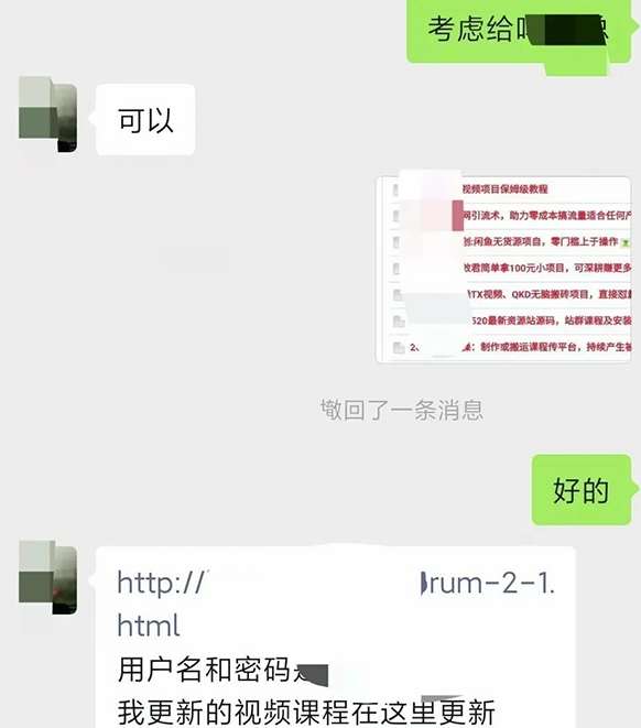 图片[2]-小彬网虚拟资源网站培训课程，如何一个月快速做出盈利的资源网站（实打实经验）-靠谱项目库