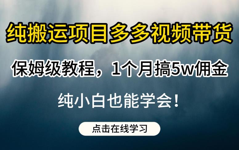 纯搬运项目多多视频带货保姆级教程，1个月搞5w佣金，纯小白也能学会【揭秘】-靠谱项目库