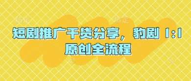 短剧推广干货分享,豹剧 1:1原创全流程-靠谱项目库