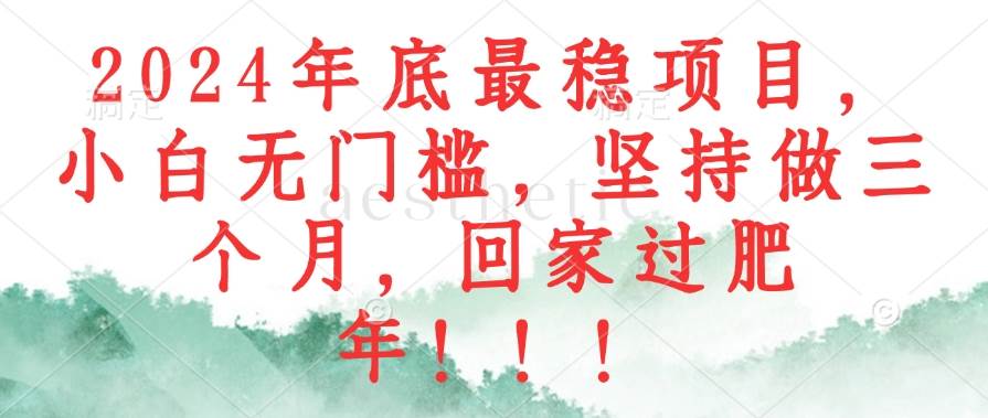 （12970期）2024年底最稳项目，小白无门槛，坚持做三个月，回家过肥年！！！-靠谱项目库