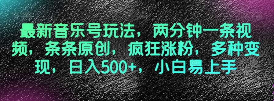 最新音乐号玩法,两分钟一条视频,条条原创,疯狂涨粉,多种变现,日入500+,小白易上手【揭秘】-靠谱项目库
