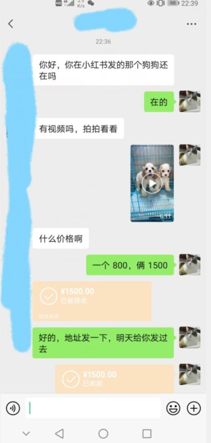 图片[2]-外边收费3980的同城萌宠项目，用最冷门的玩法冲击最热门的市场【揭秘】-靠谱项目库