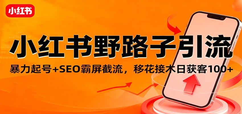 小红书野路子引流，暴力起号+SEO霸屏截流，移花接木日获客100+-靠谱项目库