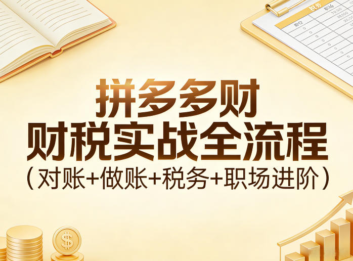 拼多多财税实战全流程（对账+做账+税务+职场进阶）-靠谱项目库