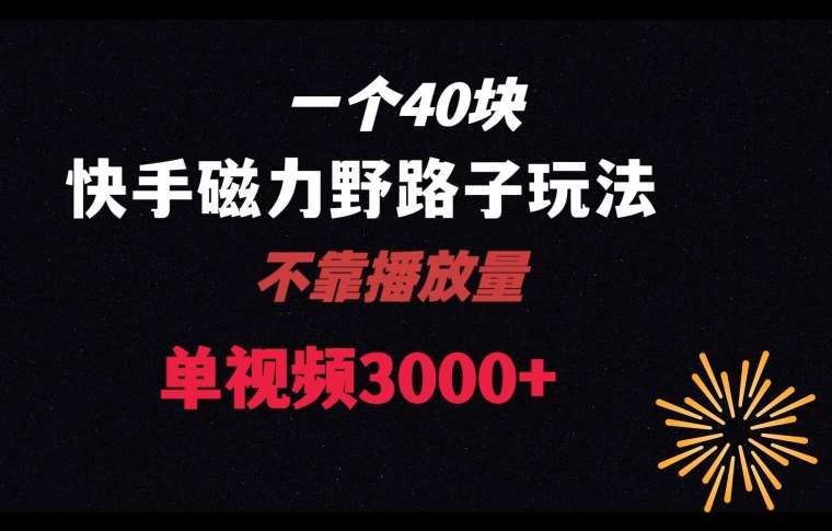 一个40块,快手联合美团磁力新玩法,无视机制野路子玩法,单视频收益4位数【揭秘】-靠谱项目库