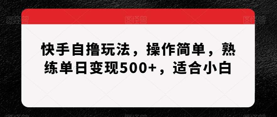 快手自撸玩法，操作简单，熟练单日变现500+，适合小白【揭秘】-靠谱项目库