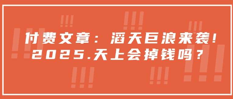 付费文章：滔天巨浪来袭！2025天上会掉钱吗？-靠谱项目库