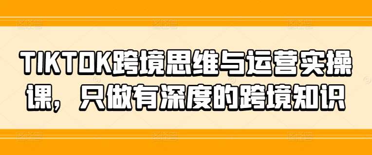 TIKTOK跨境思维与运营实操课,只做有深度的跨境知识-靠谱项目库