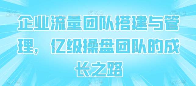 企业流量团队搭建与管理，亿级操盘团队的成长之路-靠谱项目库