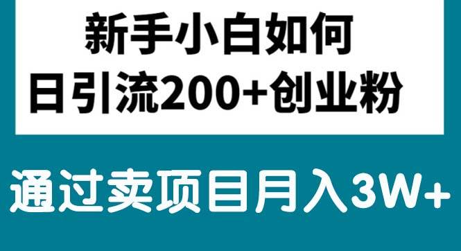 新手小白日引流200+创业粉,通过卖项目月入3W+-靠谱项目库