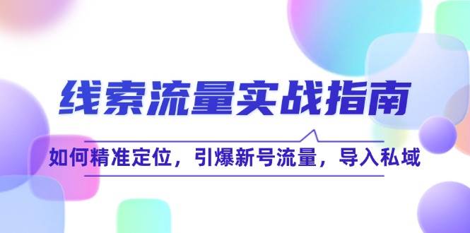 （12382期）线 索 流 量-实战指南：如何精准定位，引爆新号流量，导入私域-靠谱项目库