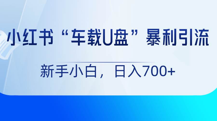 小红书“车载U盘”项目,暴利引流,新手小白轻松日入700+-靠谱项目库