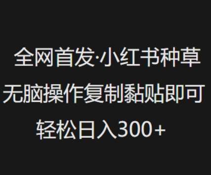 全网首发,小红书种草无脑操作,复制黏贴即可,轻松日入3张-靠谱项目库