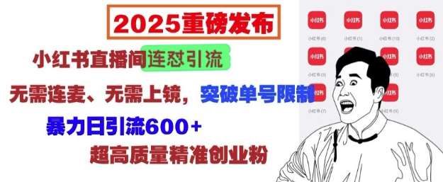 2025重磅发布：小红书直播间连怼引流，无需连麦、无需上镜，突破单号限制，暴力日引流600+-靠谱项目库
