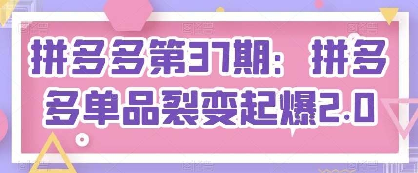 拼多多第37期：拼多多单品裂变起爆2.0-靠谱项目库