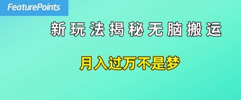 简单操作，每天50美元收入，搬运就是赚钱的秘诀【揭秘】-靠谱项目库