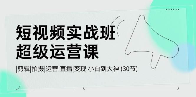 短视频实战班超级运营课 |剪辑|拍摄|运营|直播|变现 小白到大神 (30节)-靠谱项目库