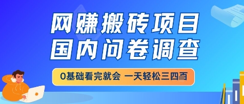 网创搬砖项目，国内问卷调查，小白轻松上手，一天三四张的也不难，干就完了【揭秘】-靠谱项目库