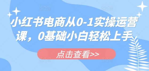 小红书电商从0-1实操运营课，0基础小白轻松上手-靠谱项目库