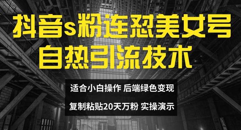 抖音s粉连怼美女号自热引流技术复制粘贴,20天万粉账号,无需实名制,矩阵操作【揭秘】-靠谱项目库