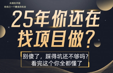 25年，你还在疯狂的找项目吗？别傻了，看完这个你都懂了【揭秘】-靠谱项目库