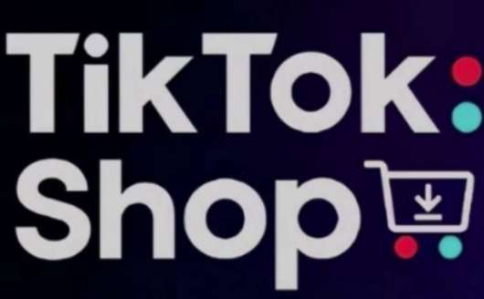 TikTokShop跨境电商0-1实战,手把手教你低成本启动海外市场(更新)-靠谱项目库