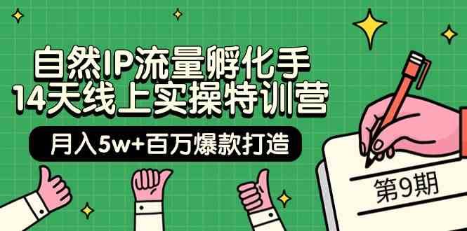 自然IP流量孵化手14天线上实操特训营【第9期】月入5w+百万爆款打造 (74节)-靠谱项目库