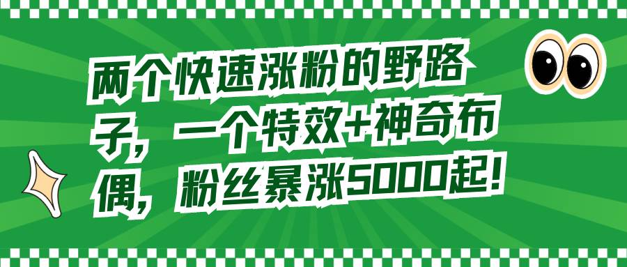 两个快速涨粉的野路子，一个特效+神奇布偶，粉丝暴涨5000起！-靠谱项目库