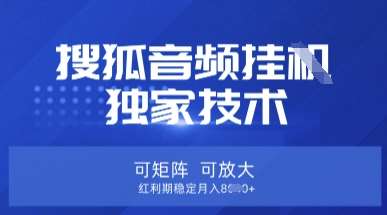 【搜狐音频挂G】独家技术，可矩阵可放大，红利期稳定月入8k【揭秘】-靠谱项目库