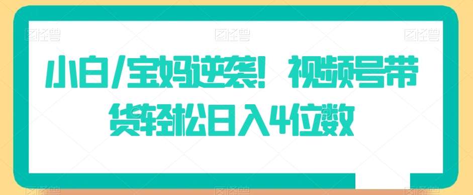 小白/宝妈逆袭！视频号带货轻松日入4位数【揭秘】-靠谱项目库