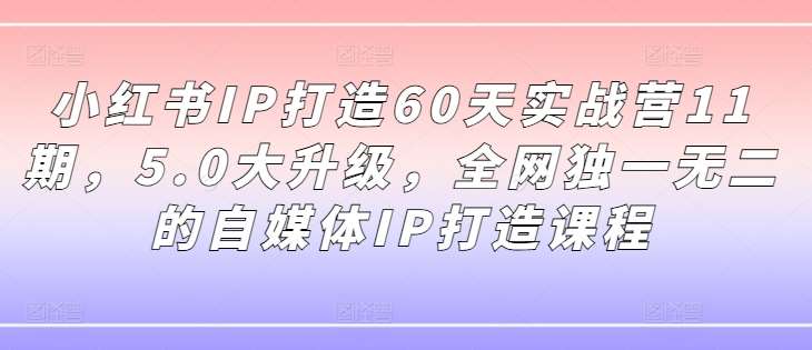 小红书IP打造60天实战营11期,5.0大升级,全网独一无二的自媒体IP打造课程-靠谱项目库