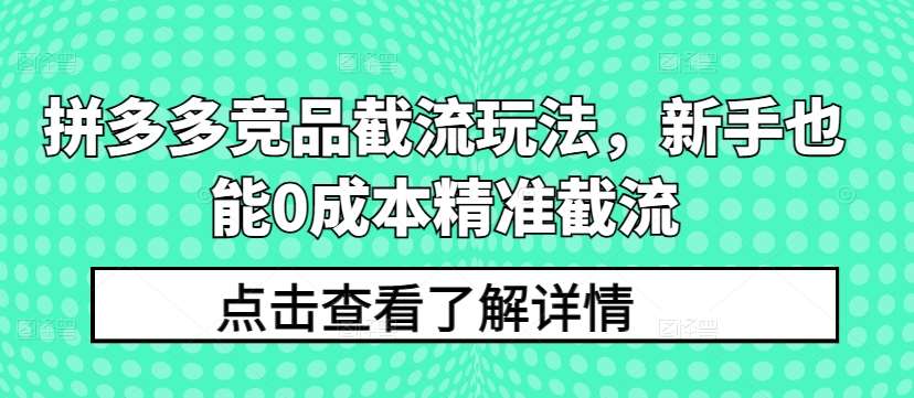 拼多多竞品截流玩法，新手也能0成本精准截流-靠谱项目库