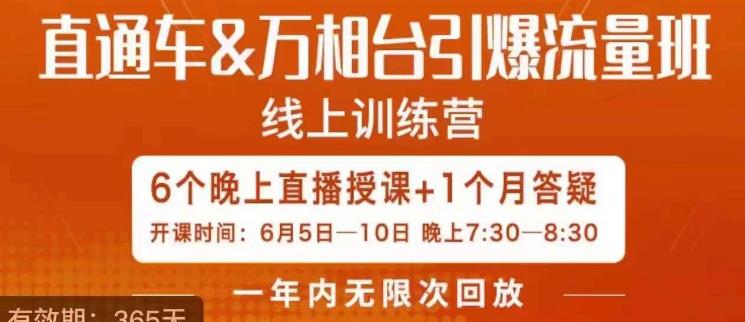 直通车&万相台引爆流量班，6天打通你开直通车·万相台的任督二脉-靠谱项目库