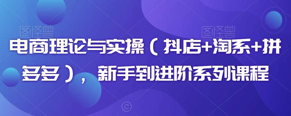 电商理论与实操（抖店+淘系+拼多多），新手到进阶系列课程-靠谱项目库