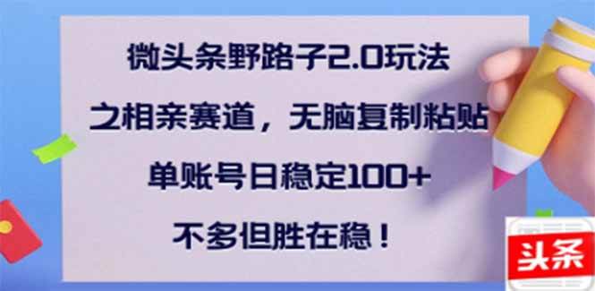 （14334期）微头条野路子2.0玩法之相亲赛道，无脑搬砖复制粘贴，单账号日稳定300+…-靠谱项目库