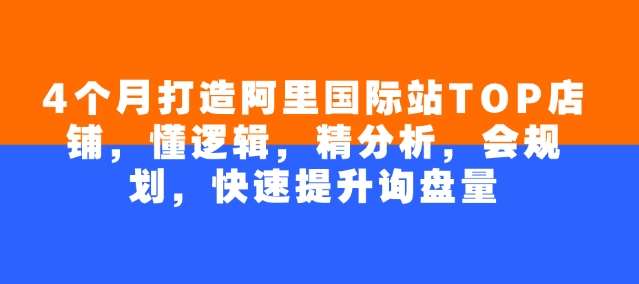 4个月打造阿里国际站TOP店铺，懂逻辑，精分析，会规划，快速提升询盘量-靠谱项目库