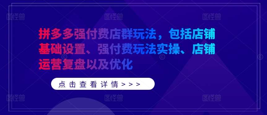 拼多多强付费店群玩法，包括店铺基础设置、强付费玩法实操、店铺运营复盘以及优化-靠谱项目库
