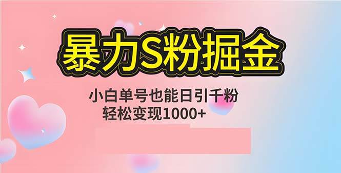 （12778期）单人单机日引千粉，变现1000+，S粉流量掘金计划攻略-靠谱项目库