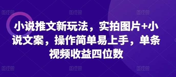 小说推文新玩法，实拍图片+小说文案，操作简单易上手，单条视频收益四位数-靠谱项目库