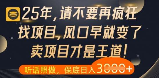 什么？25年你还在疯狂找项目做，醒醒吧，看完这些你全都懂了【揭秘】-靠谱项目库