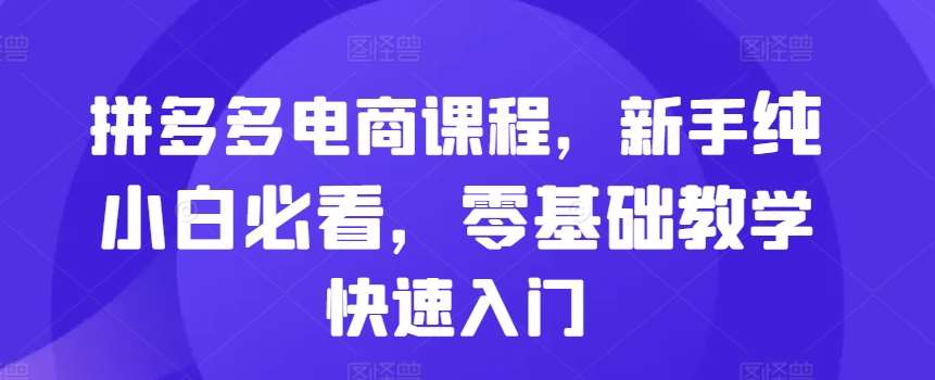 拼多多电商课程,新手纯小白必看,零基础教学快速入门-靠谱项目库