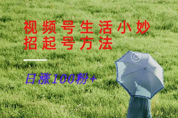 视频号生活小妙招分享赛道, 起号涨粉新方法,日涨100粉-靠谱项目库