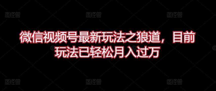 微信视频号最新玩法之狼道，目前玩法已轻松月入过万【揭秘】-靠谱项目库