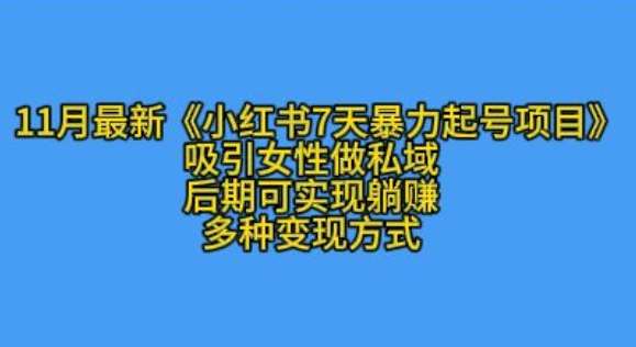 K总部落11月最新小红书7天暴力起号项目,吸引女性做私域【揭秘】-靠谱项目库
