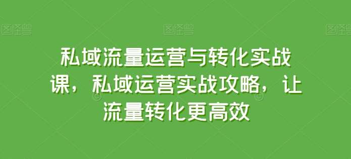 私域流量运营与转化实战课,私域运营实战攻略,让流量转化更高效-靠谱项目库