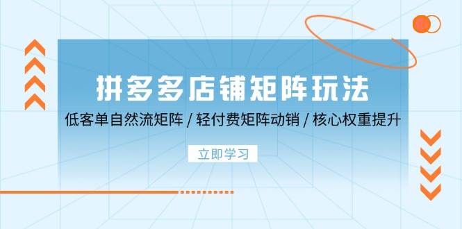（12720期）拼多多店铺矩阵玩法：低客单自然流矩阵 / 轻付费矩阵 动销 / 核心权重提升-靠谱项目库