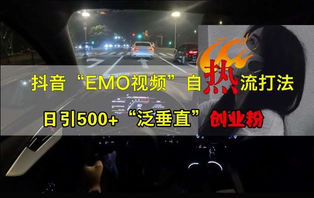 抖音EMO视频自热打法，日引500+“泛垂直”创业粉-靠谱项目库