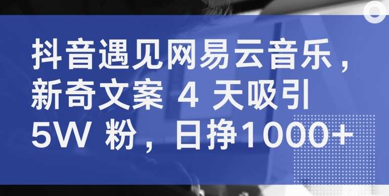 抖音遇见网易云音乐，新奇文案 4 天吸引 5W 粉，日挣1000+【揭秘】-靠谱项目库