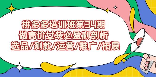 （9333期）拼多多培训班第34期：做高价女装必盈利剖析  选品/测款/运营/推广/拓展-靠谱项目库