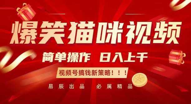 爆笑猫咪视频：简单操作，日入过K，视频号搞钱新策略【揭秘】-靠谱项目库